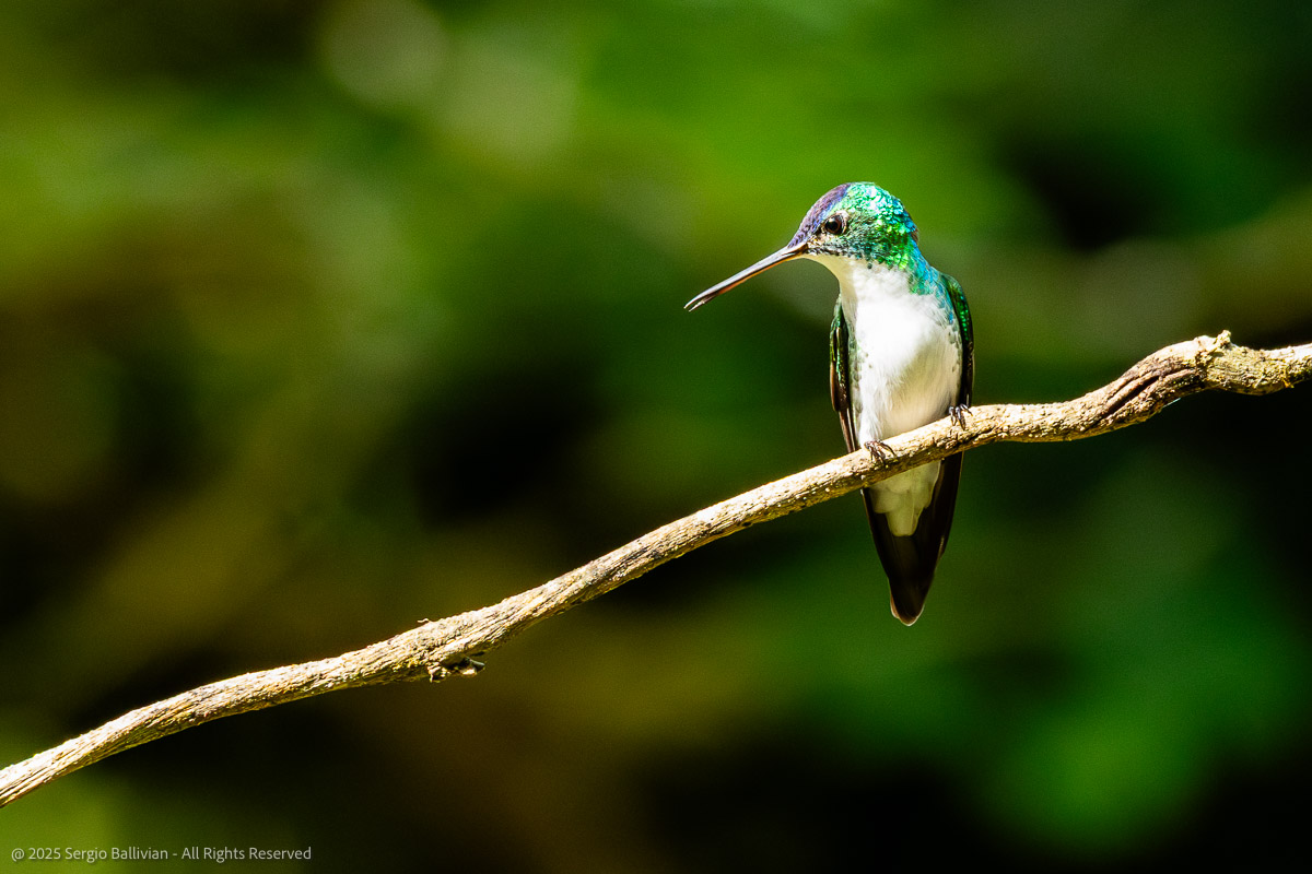 250924_COL_Reserva_Rio_Guadalajara_097